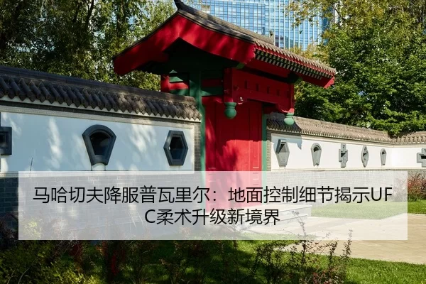 ma-ha-qie-fu-xiang-fu-pu-wa-li-er-di-mian-kong-zhi-xi-jie-jie-shi-rou-shu-sheng-ji-xin-jing-jie-2-405.jpg