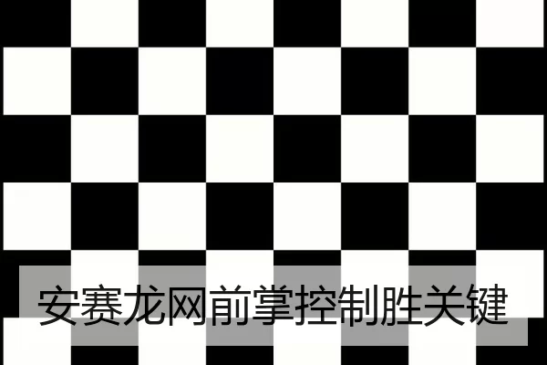 安赛龙网前掌控制胜关键
