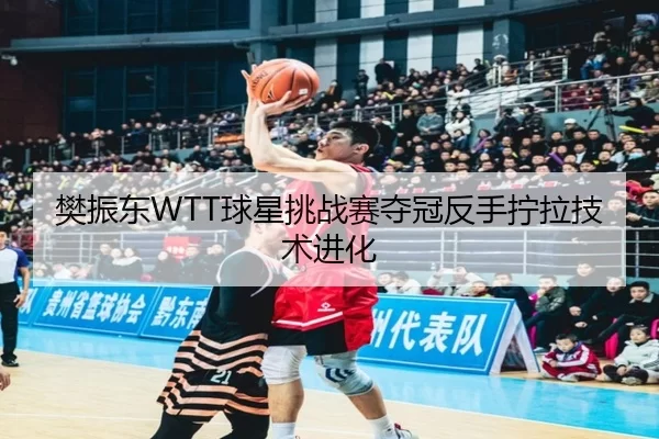 樊振东WTT球星挑战赛夺冠反手拧拉技术进化
